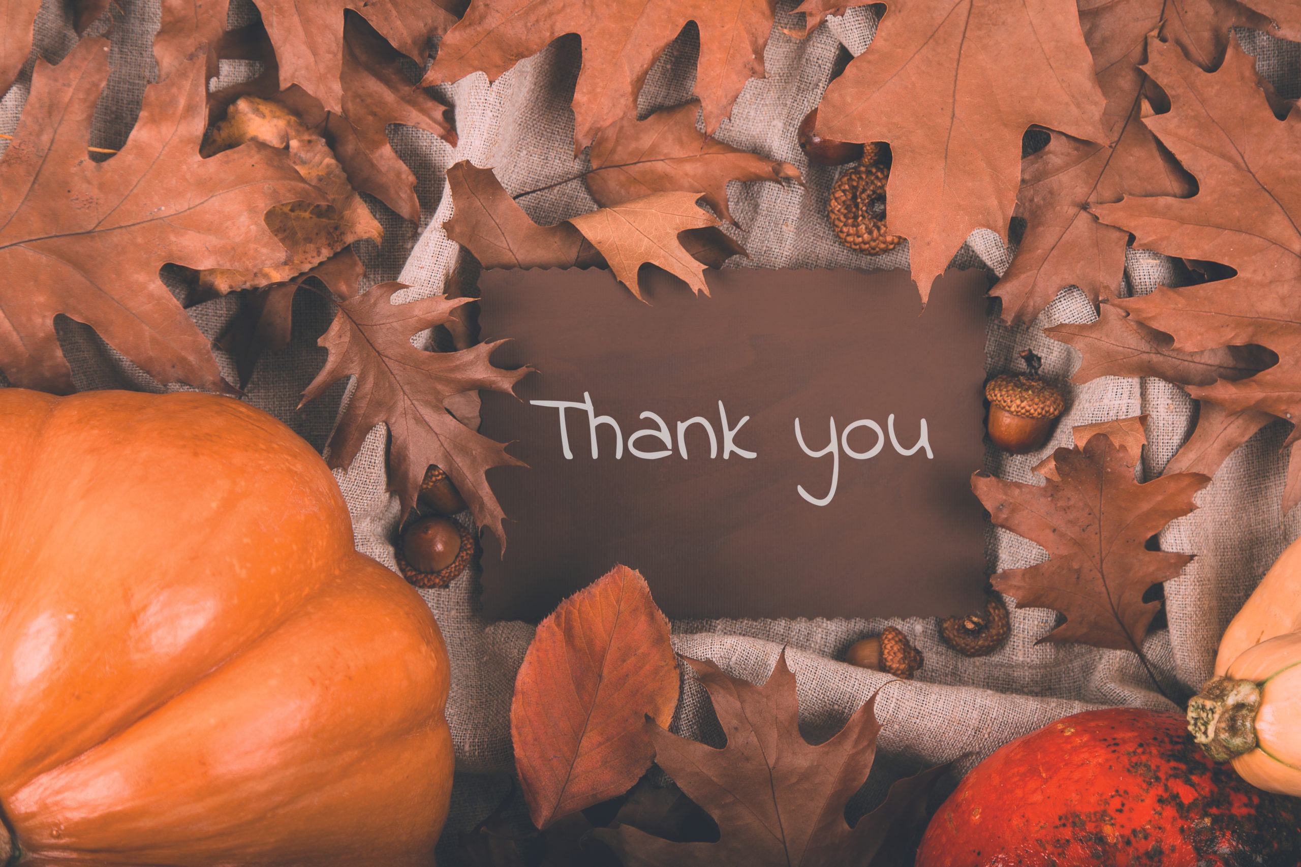 A thank you card with a fall leaf and pumpkins background | Thanksgiving at work: 9 ways to show employee appreciation | Limeade