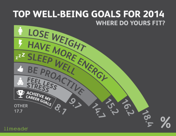 Pie graph discussing top well-being goals for 2014