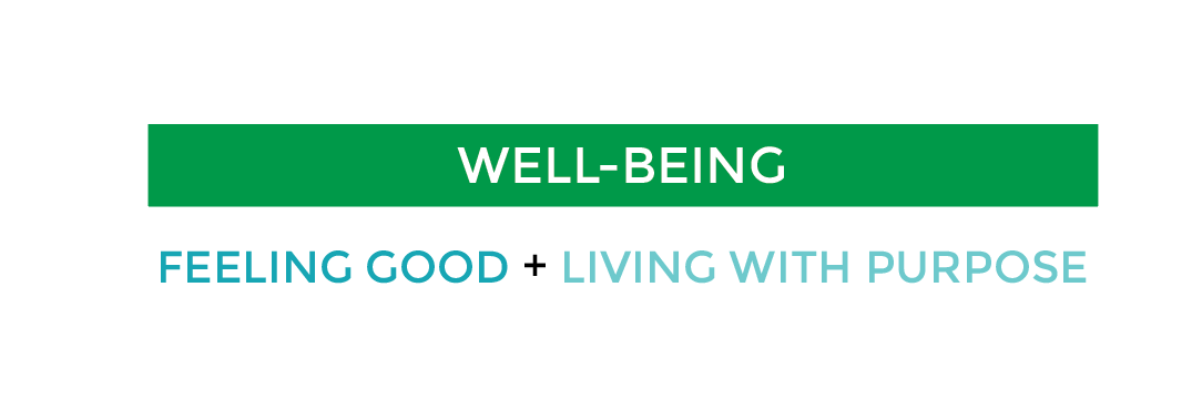 The definition of well-being = feeling good + living with purpose
